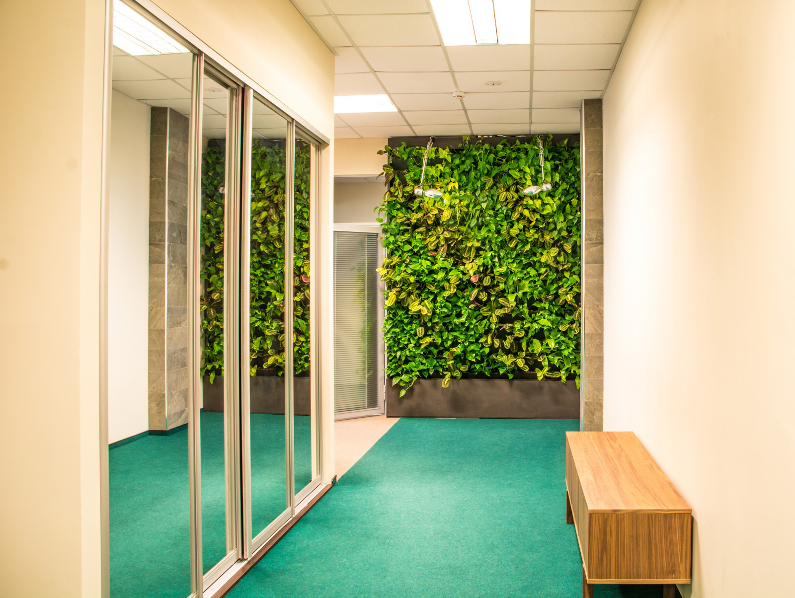 Фитостена в холле