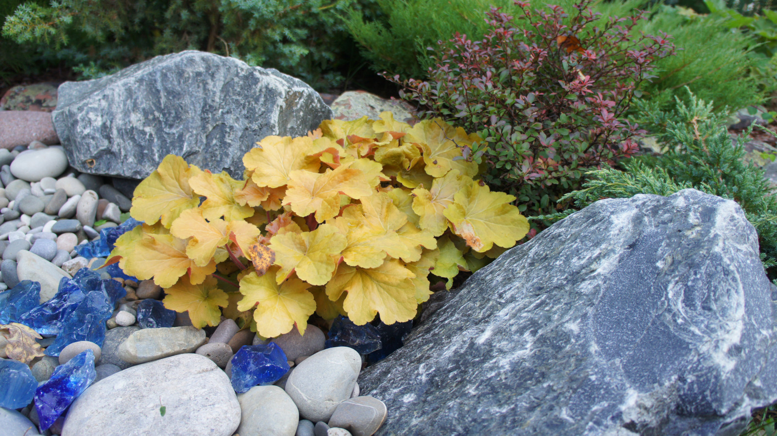 Прохорово 2016