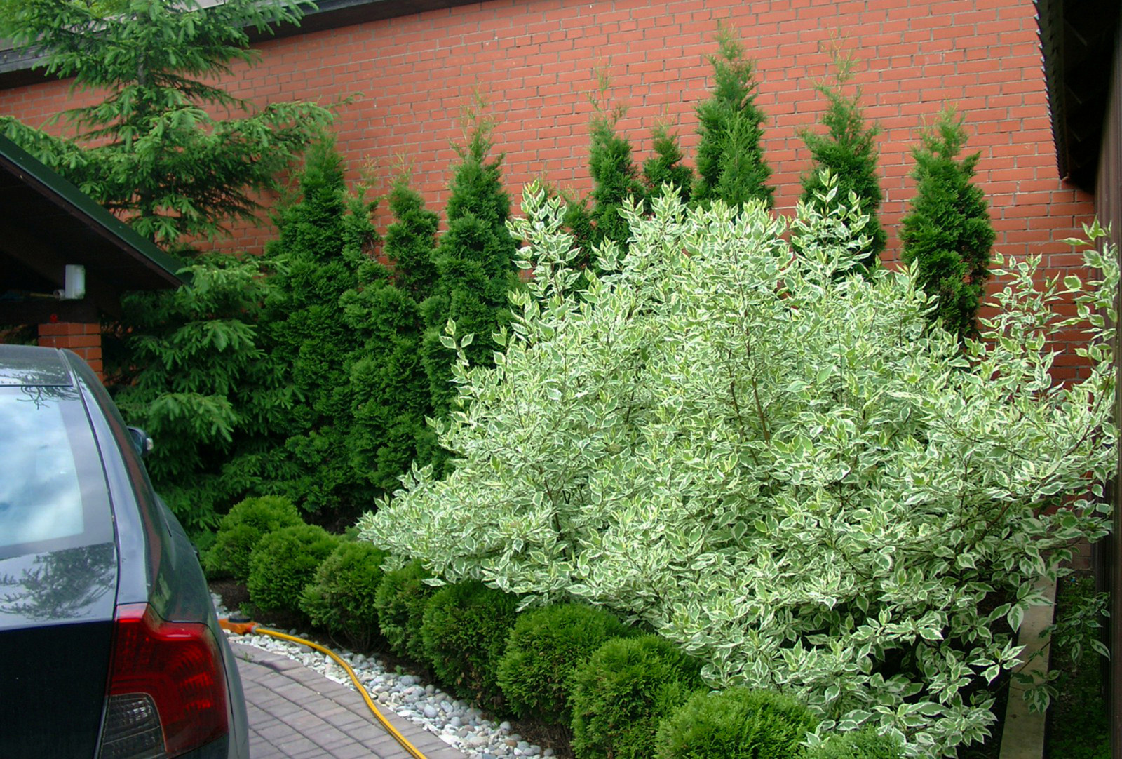 Ландшафтный дизайн участка 6 соток - оформление въздной зоны.