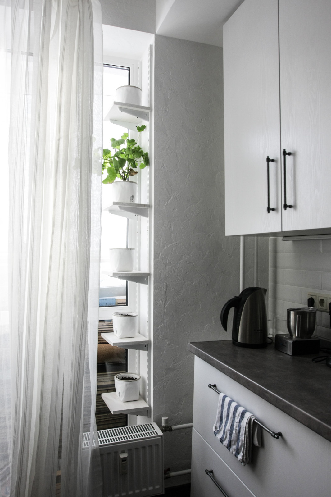 Как правильно: Помочь комнатным растениям пережить зиму