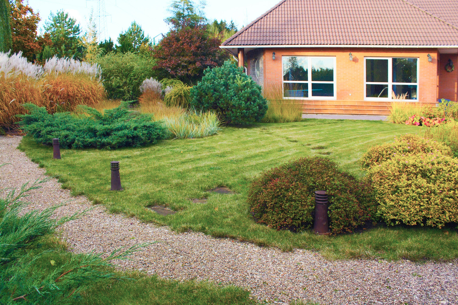 Фотоохота: 37 садов со злаками