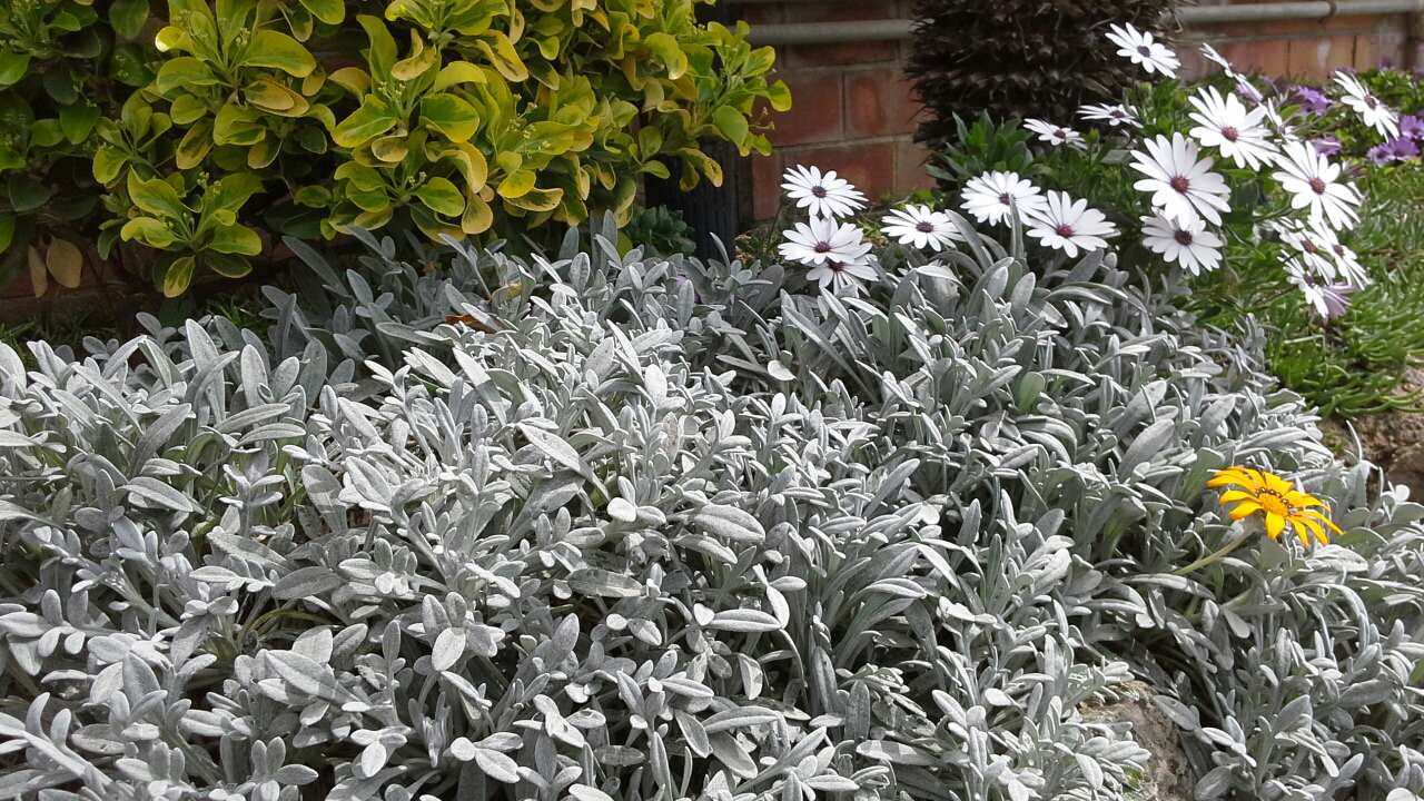 Обложка проекта: Мои работы