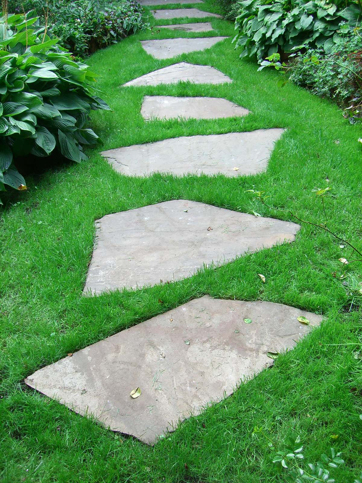 Фоновое изображение профиля Аркадьева Марина