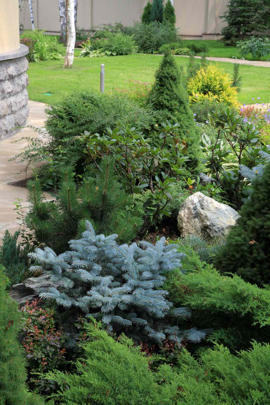 Обложка проекта: В теневом лесу