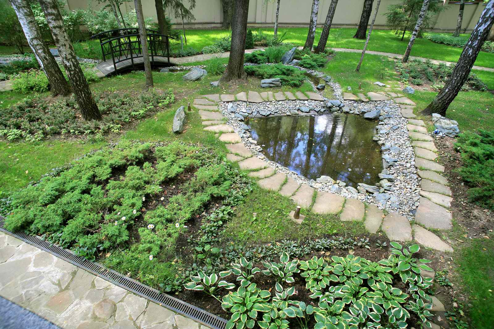 В теневом лесу