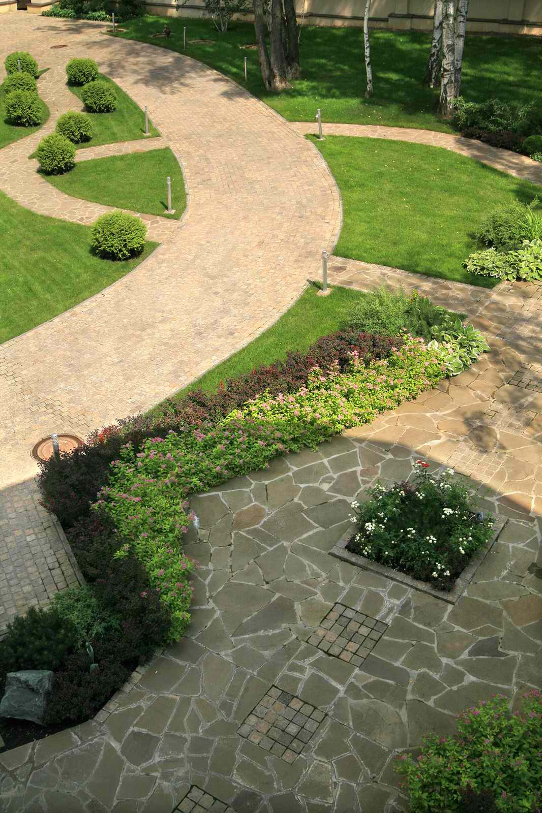 В теневом лесу