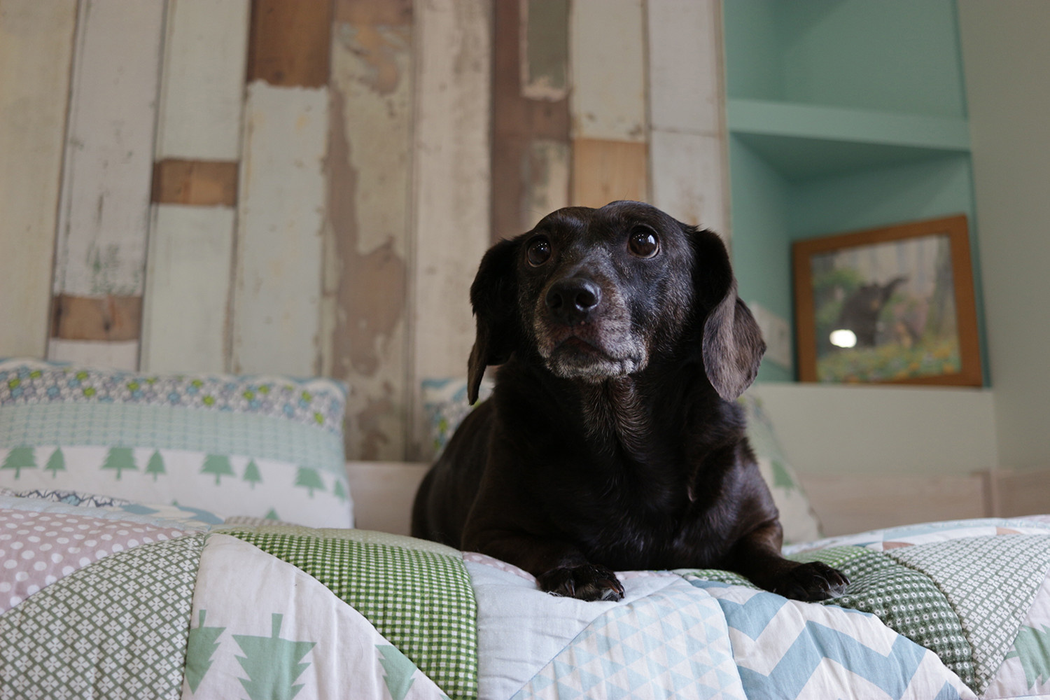 Трёхкомнатная квартира с идеальной детской