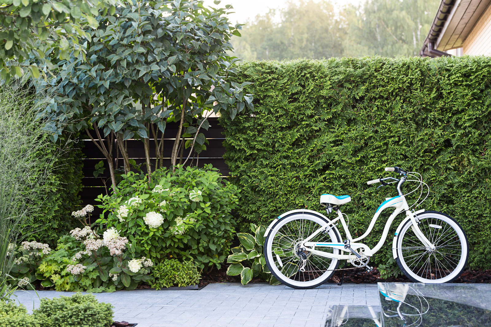 Фотосъёмка сада (к/п Светлогорье)