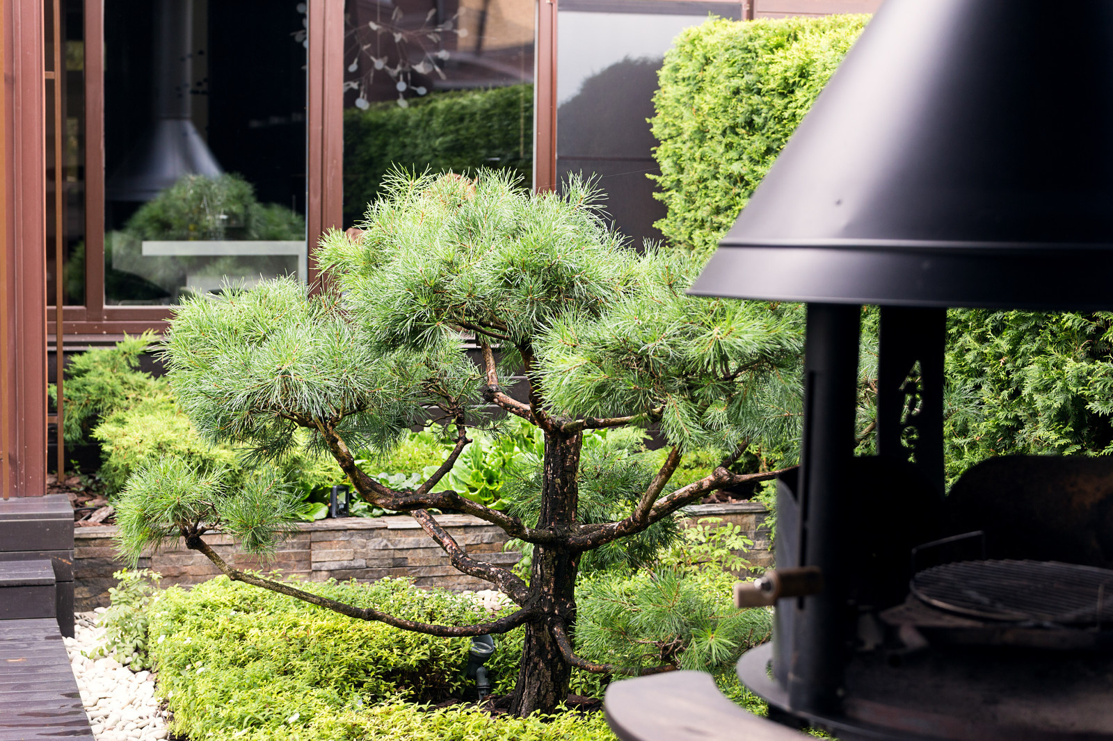 Фотосъёмка сада (к/п Светлогорье)