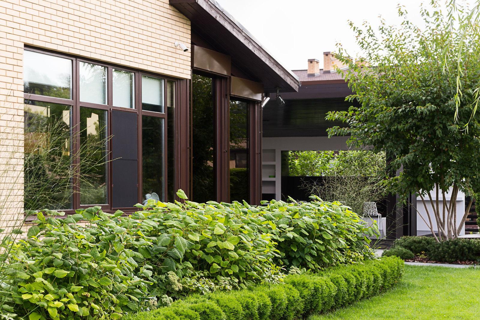 Фотосъёмка сада (к/п Светлогорье)