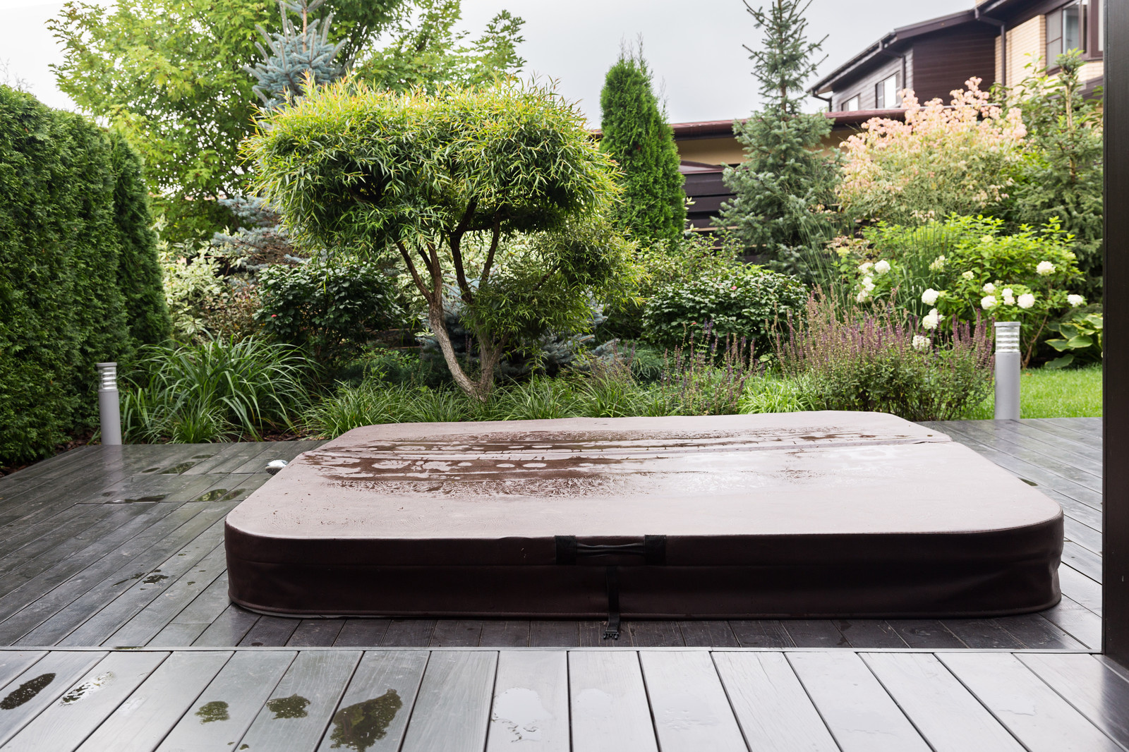 Фотосъёмка сада (к/п Светлогорье)