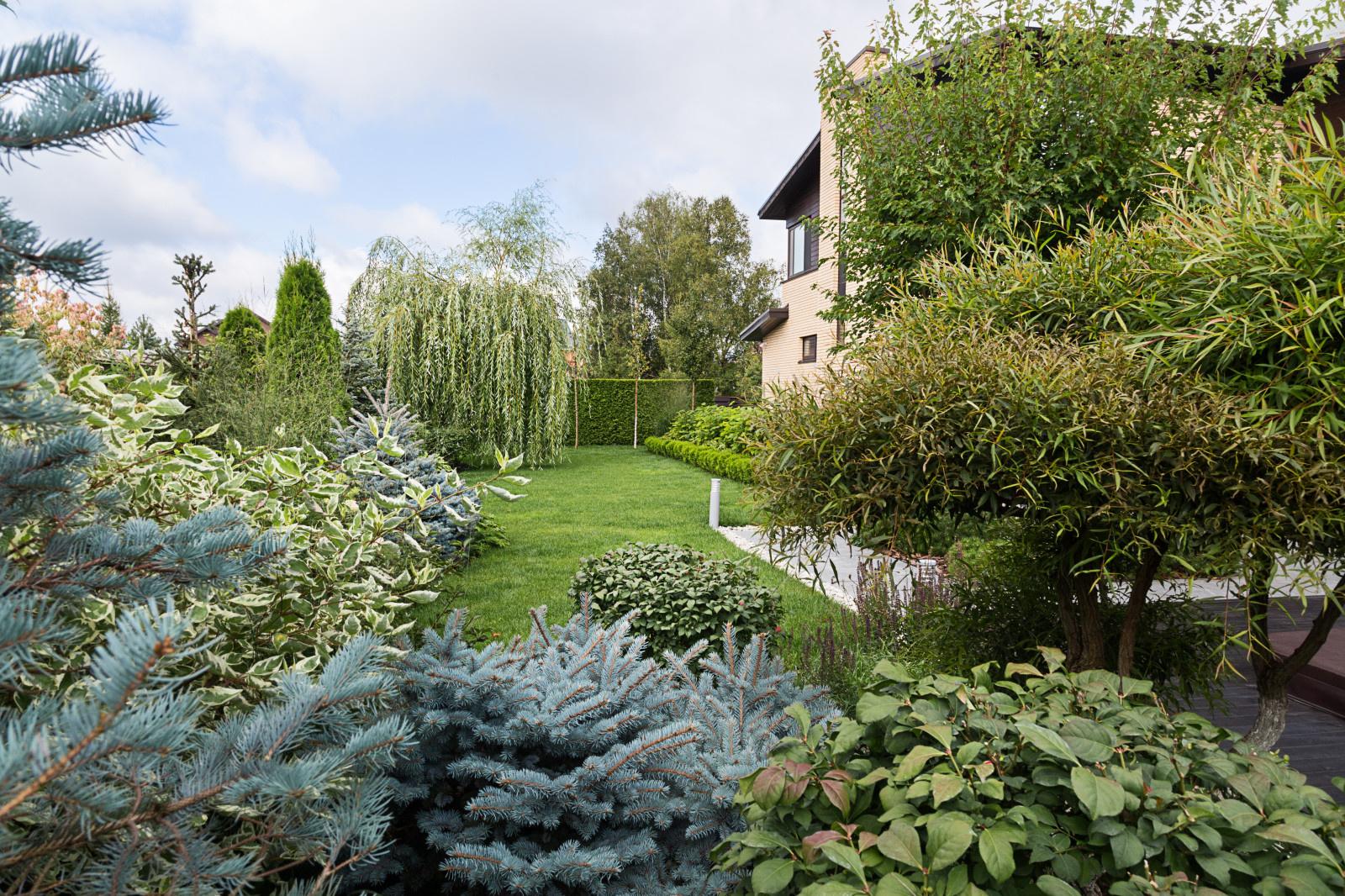 Фотосъёмка сада (к/п Светлогорье)