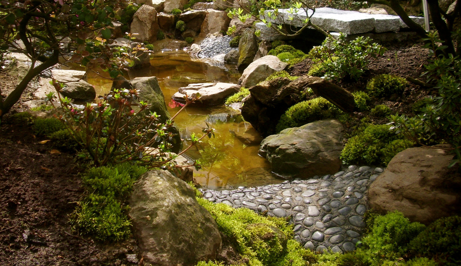 Back yard design for a hotel in Germany