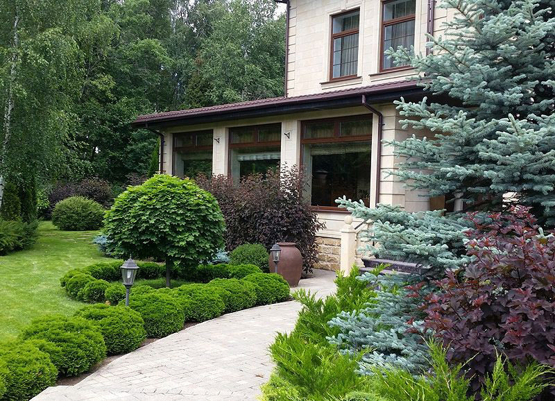 Обложка проекта: Заповедная