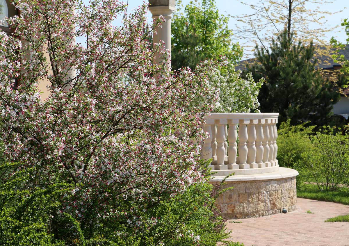 В центре круга