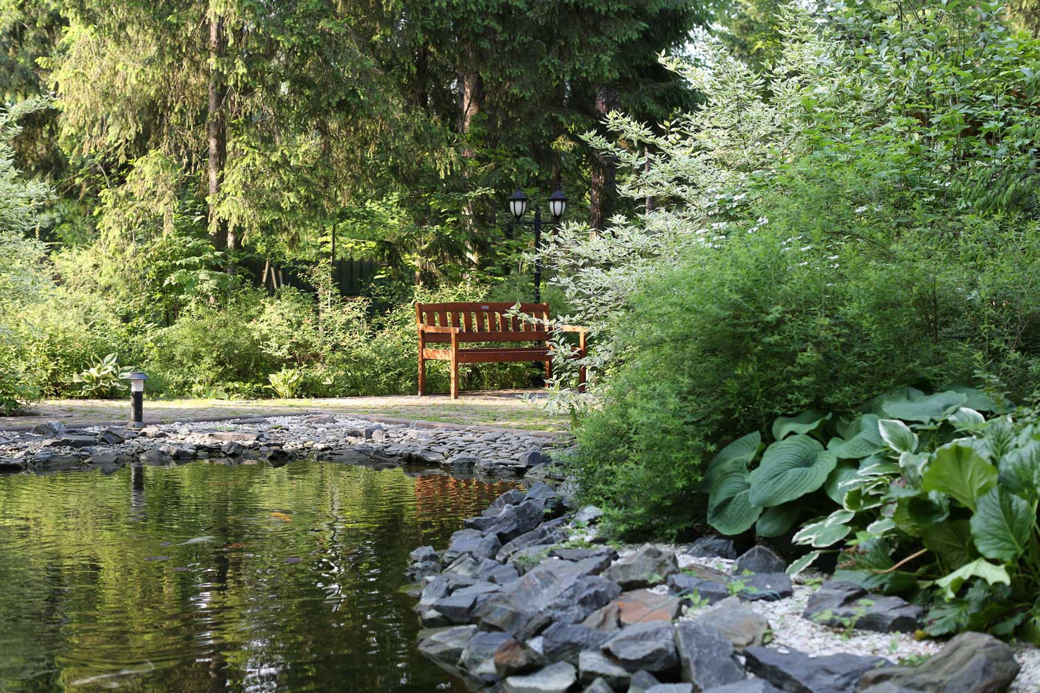 В гостях у леса