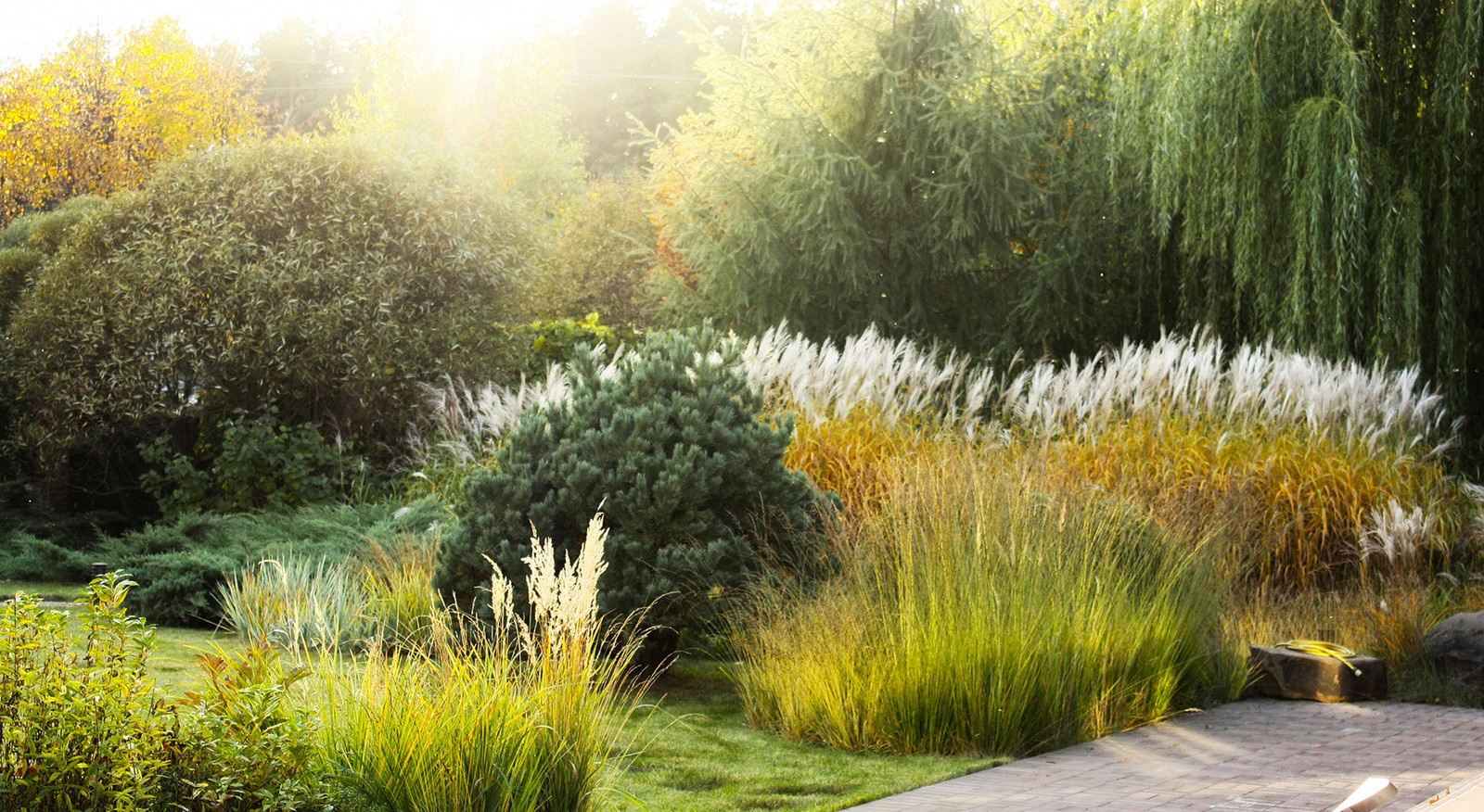 Ваш участок 10 соток? —Забудьте о саде «новой волны»