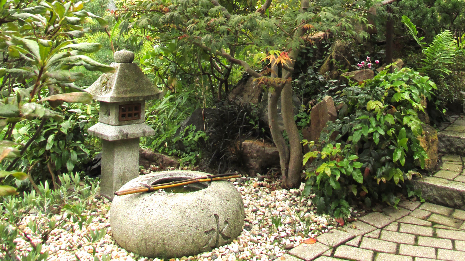 Обложка проекта: Oriental garden in Germany