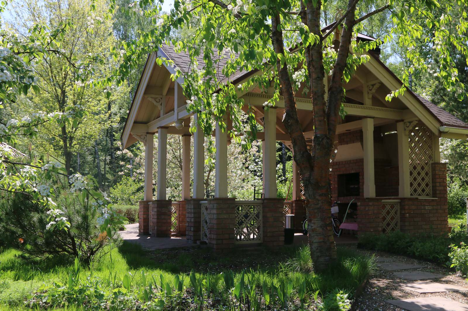 Бельгийка 01