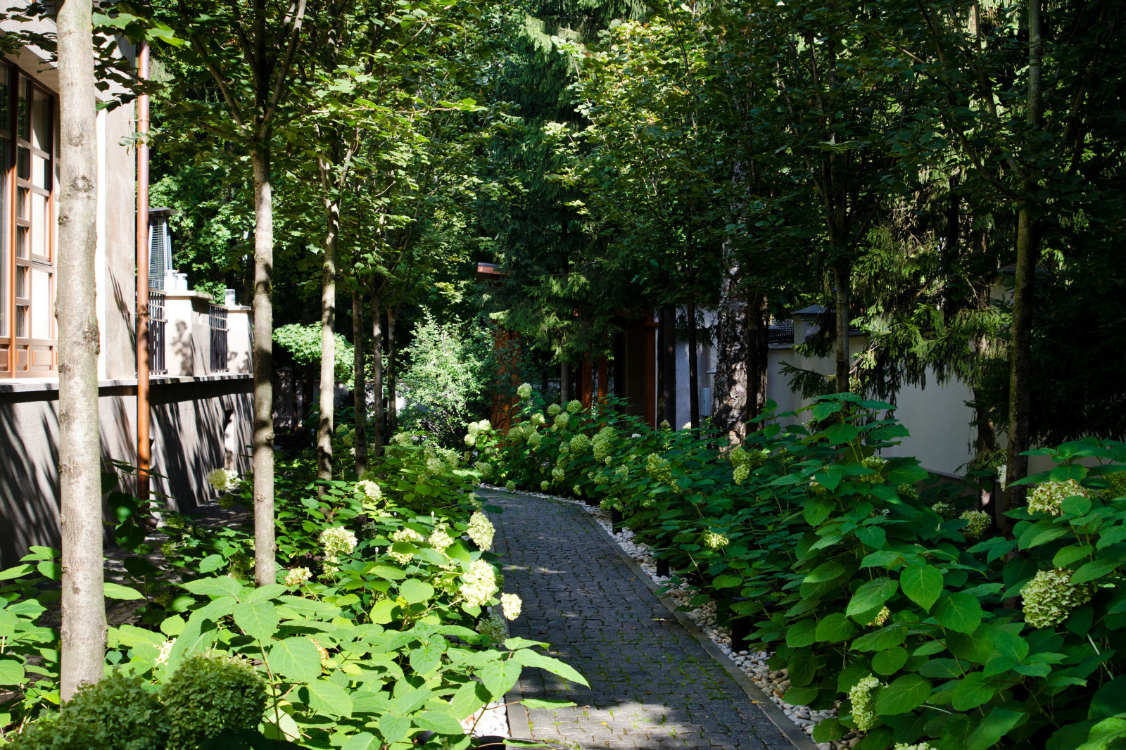 Глянцевый лес