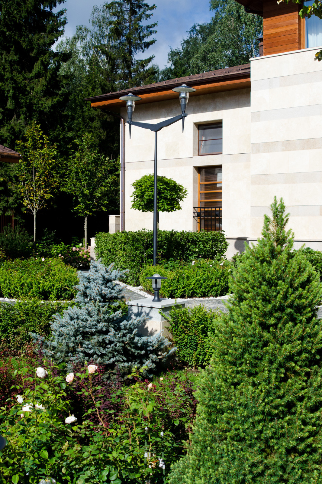 Глянцевый лес