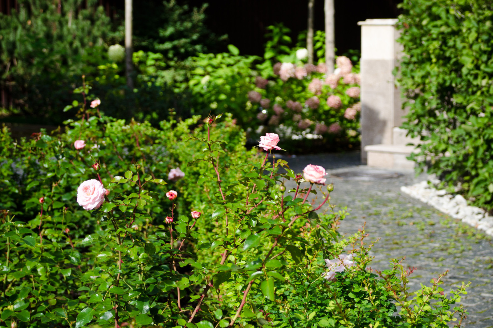 Глянцевый лес