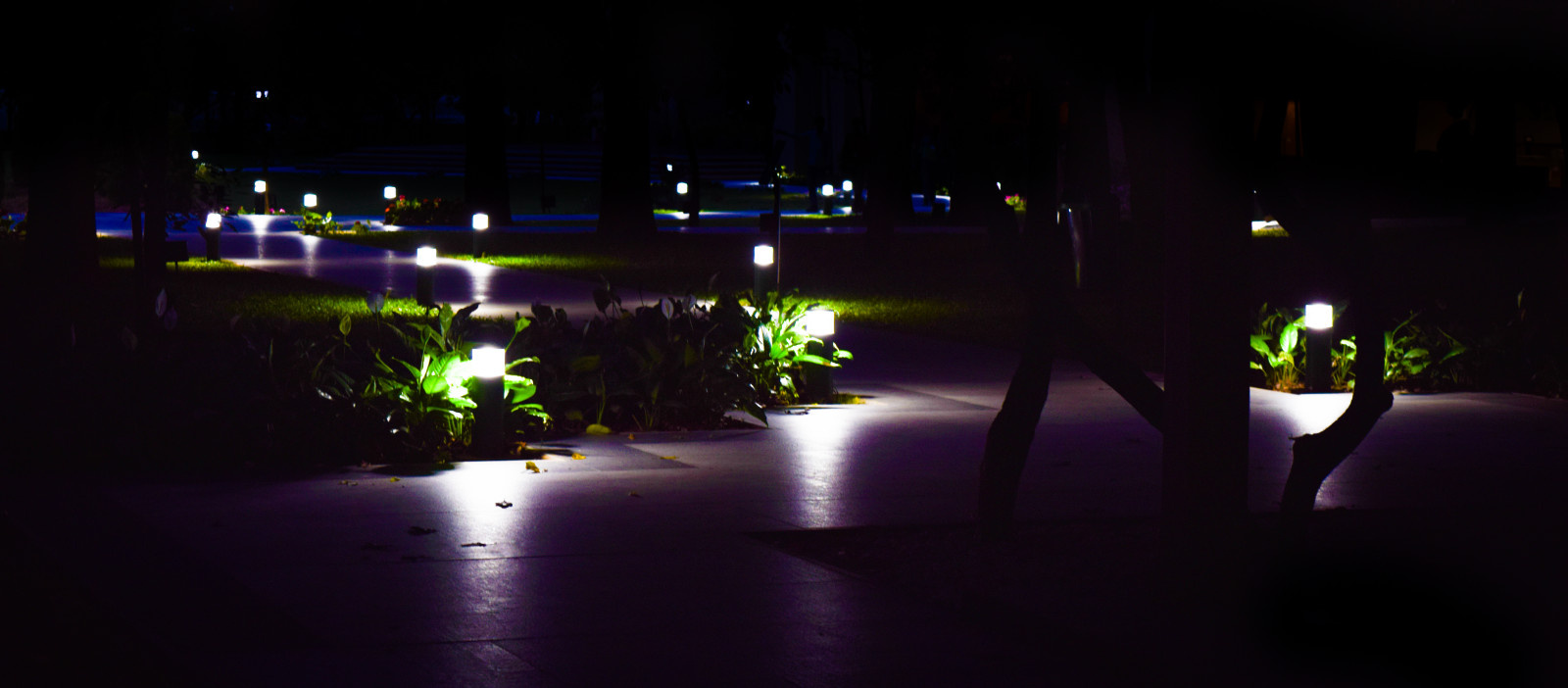 Обложка проекта: Портфолио