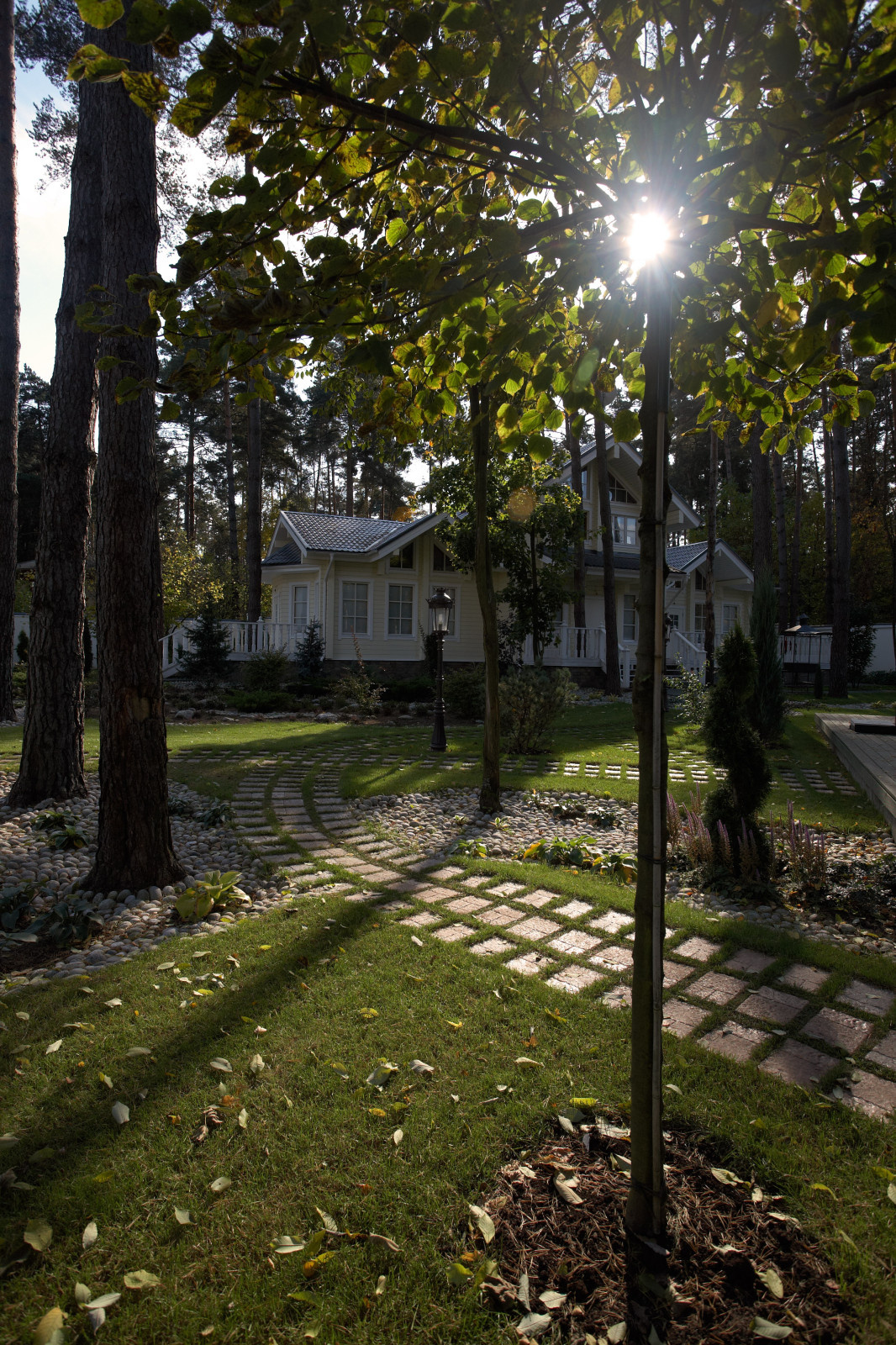 Каменистые ленты