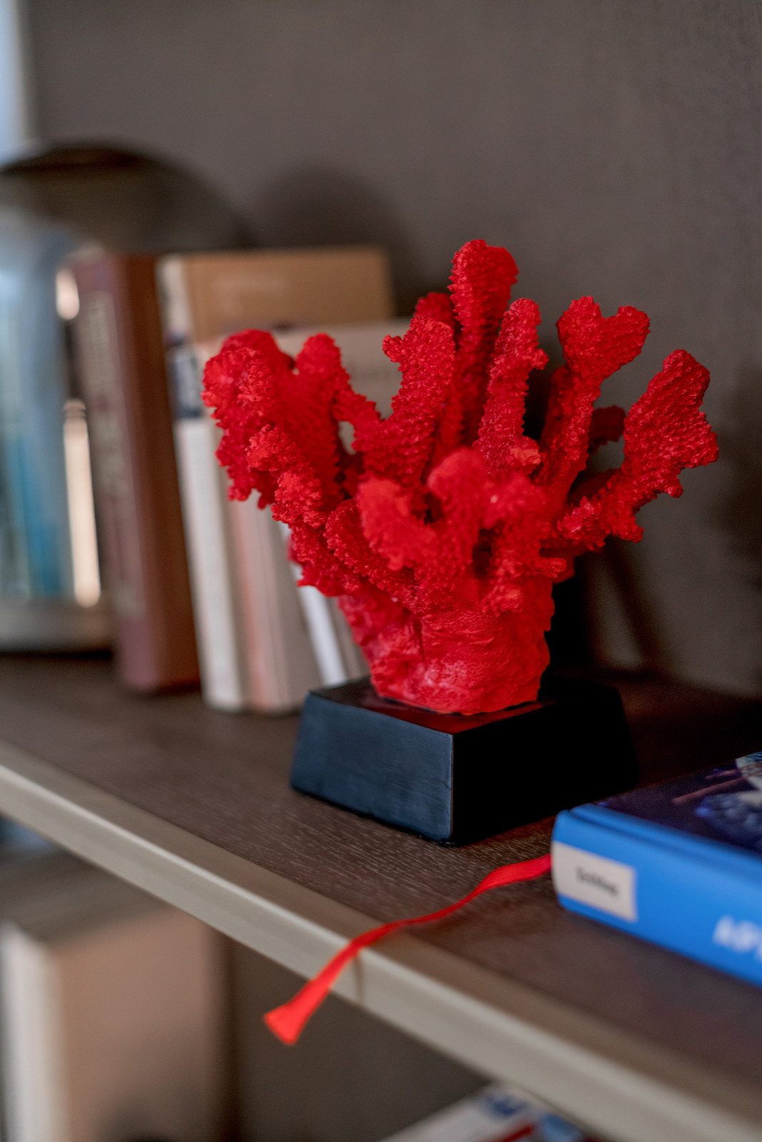 Дом прошлого