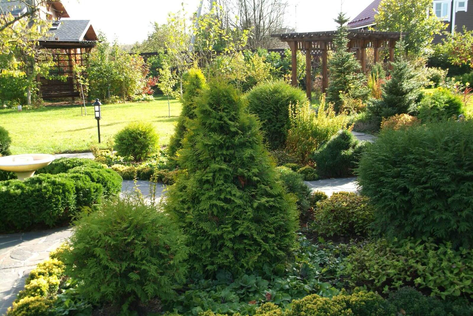 Ландшафт. Фелисово.