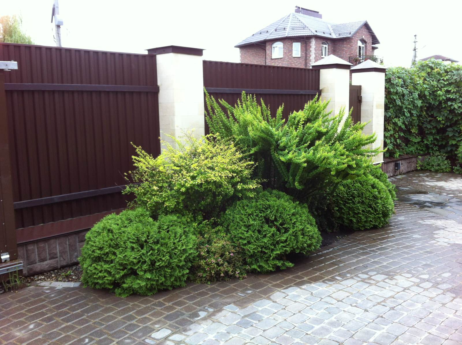 Наталия Шушлебина