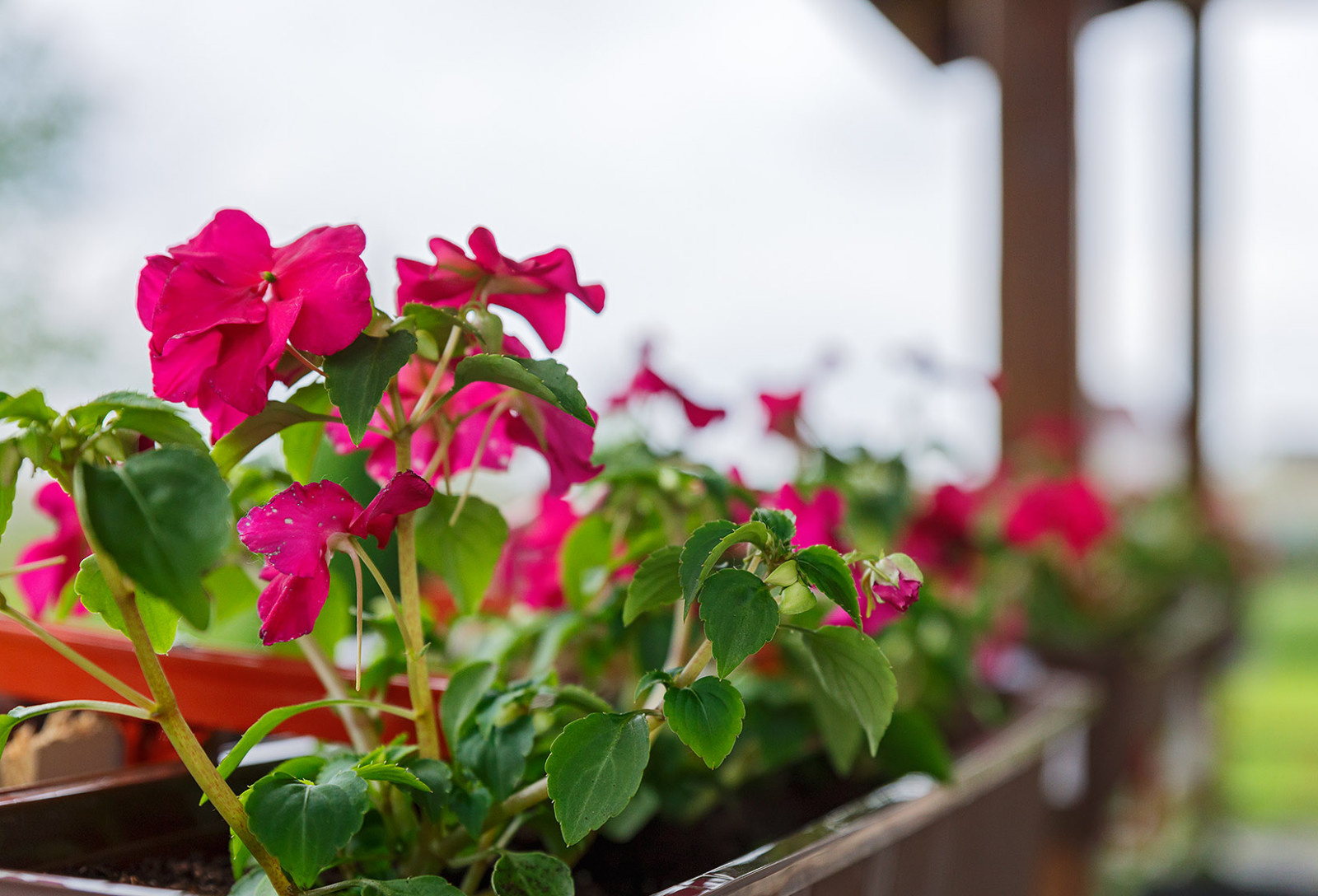 Обложка проекта: Бирюза