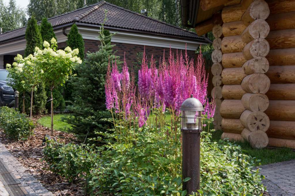 Фоновое изображение профиля Елена email: info@librarylight.ru