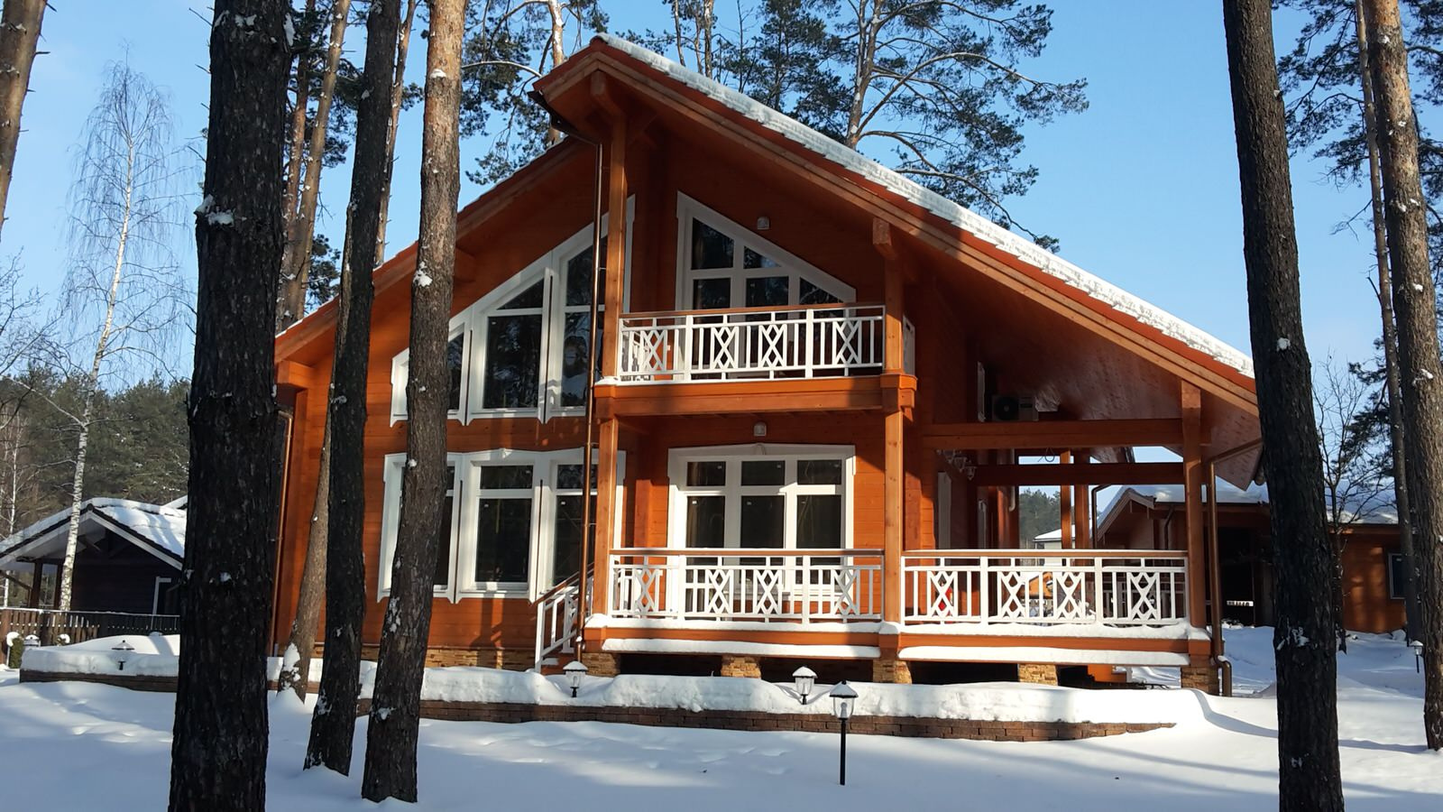 Ирина Высоцкая