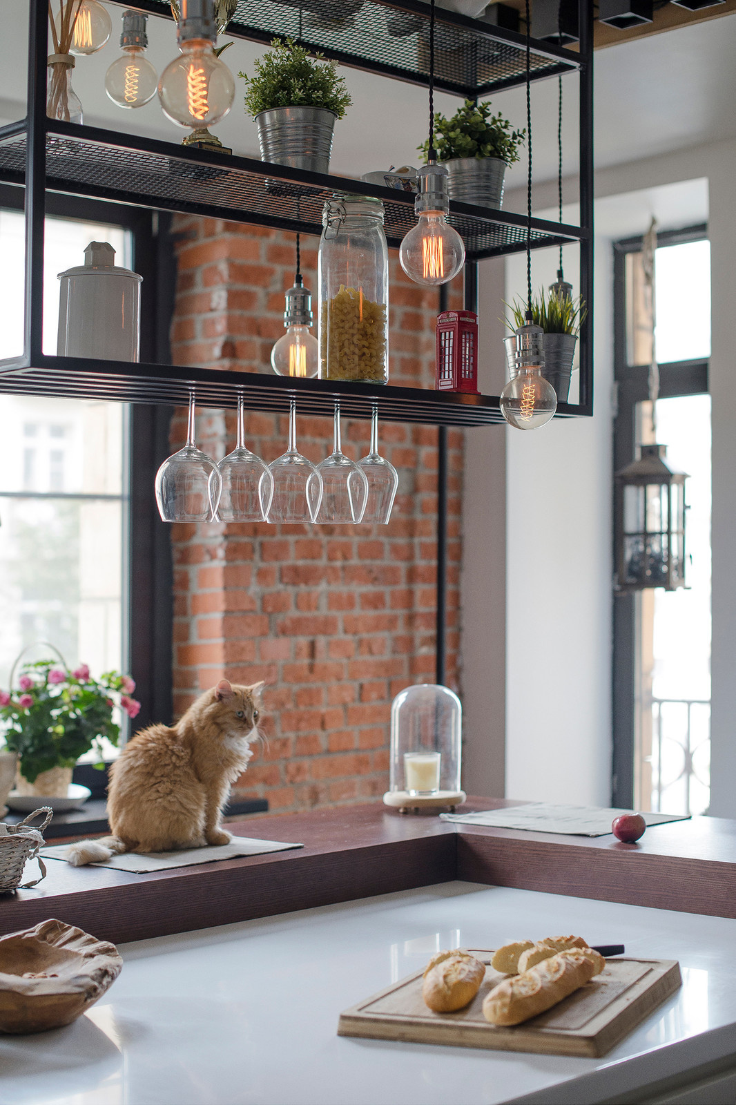 Квартира в стиле лофт для холостяка с 2мя кошками и собакой