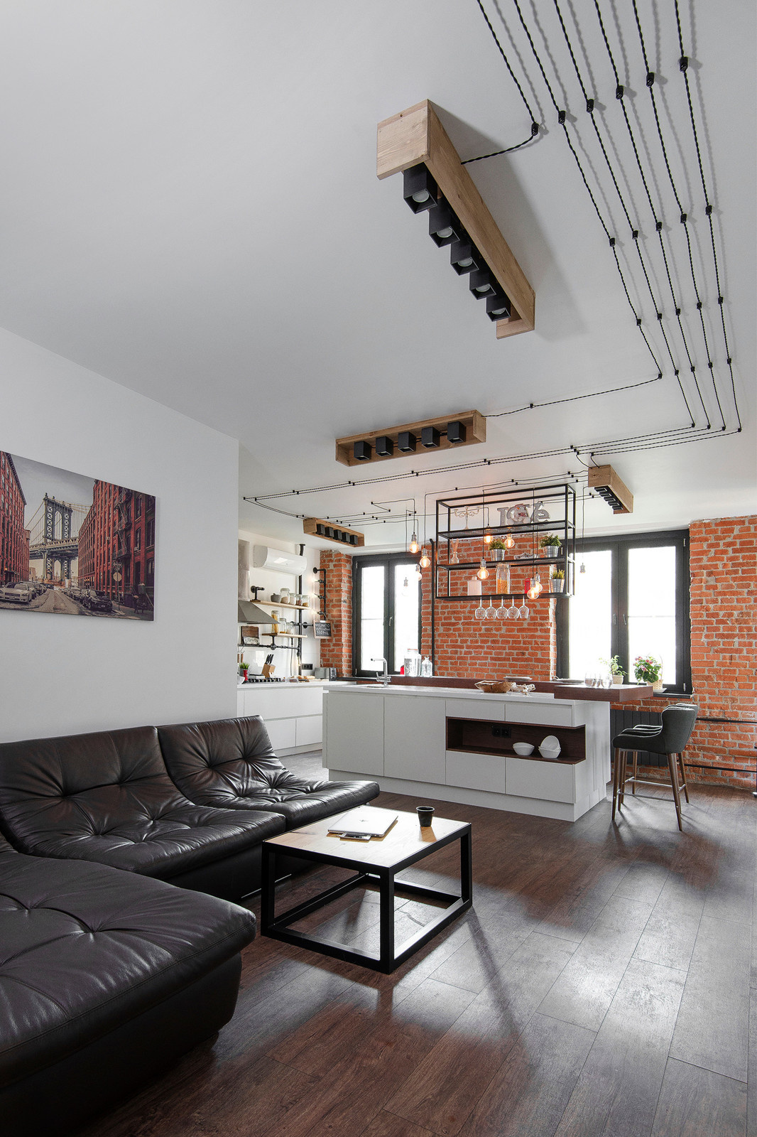 Квартира в стиле лофт для холостяка с 2мя кошками и собакой