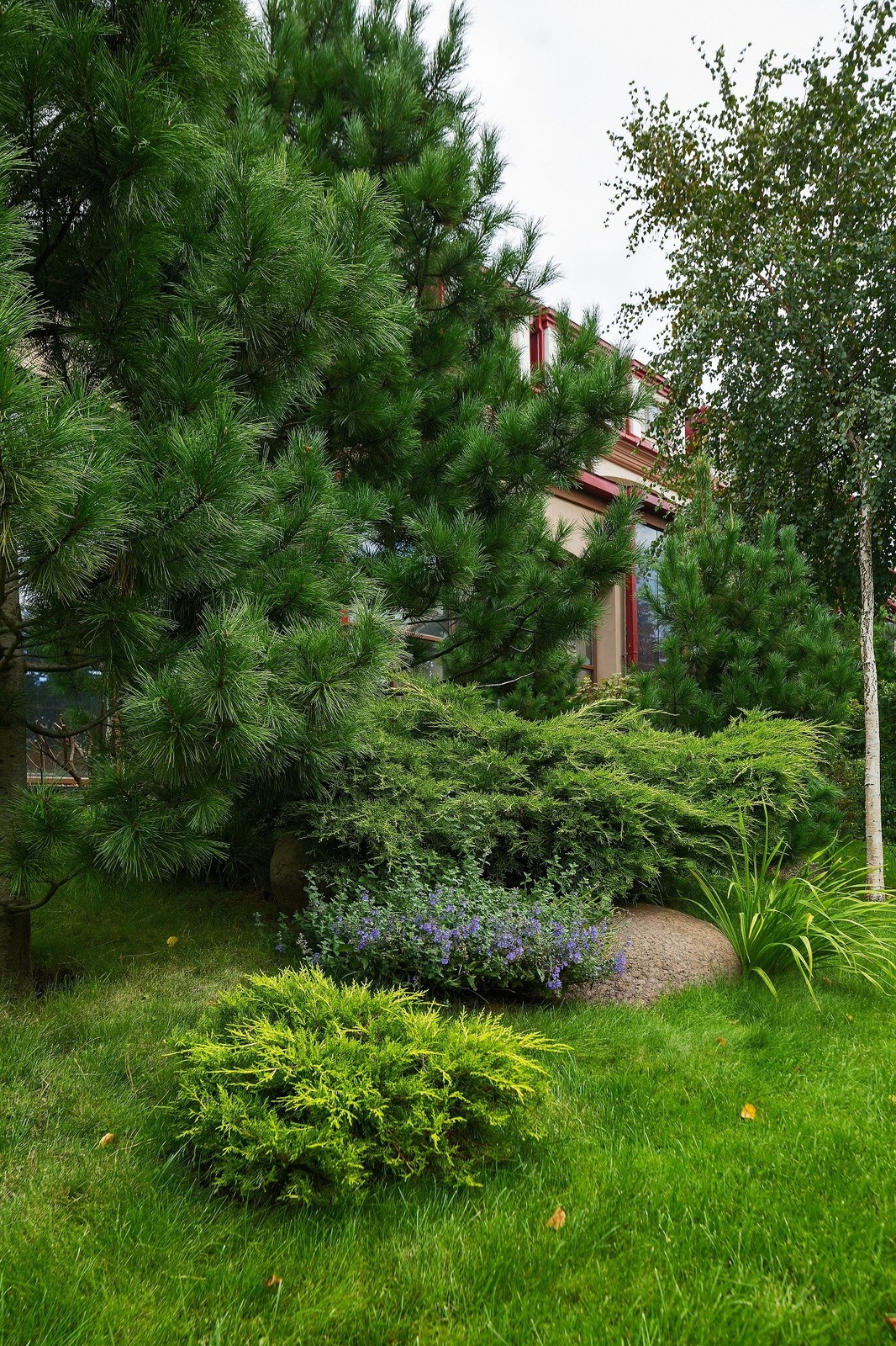 Озеленение жилого комплекса