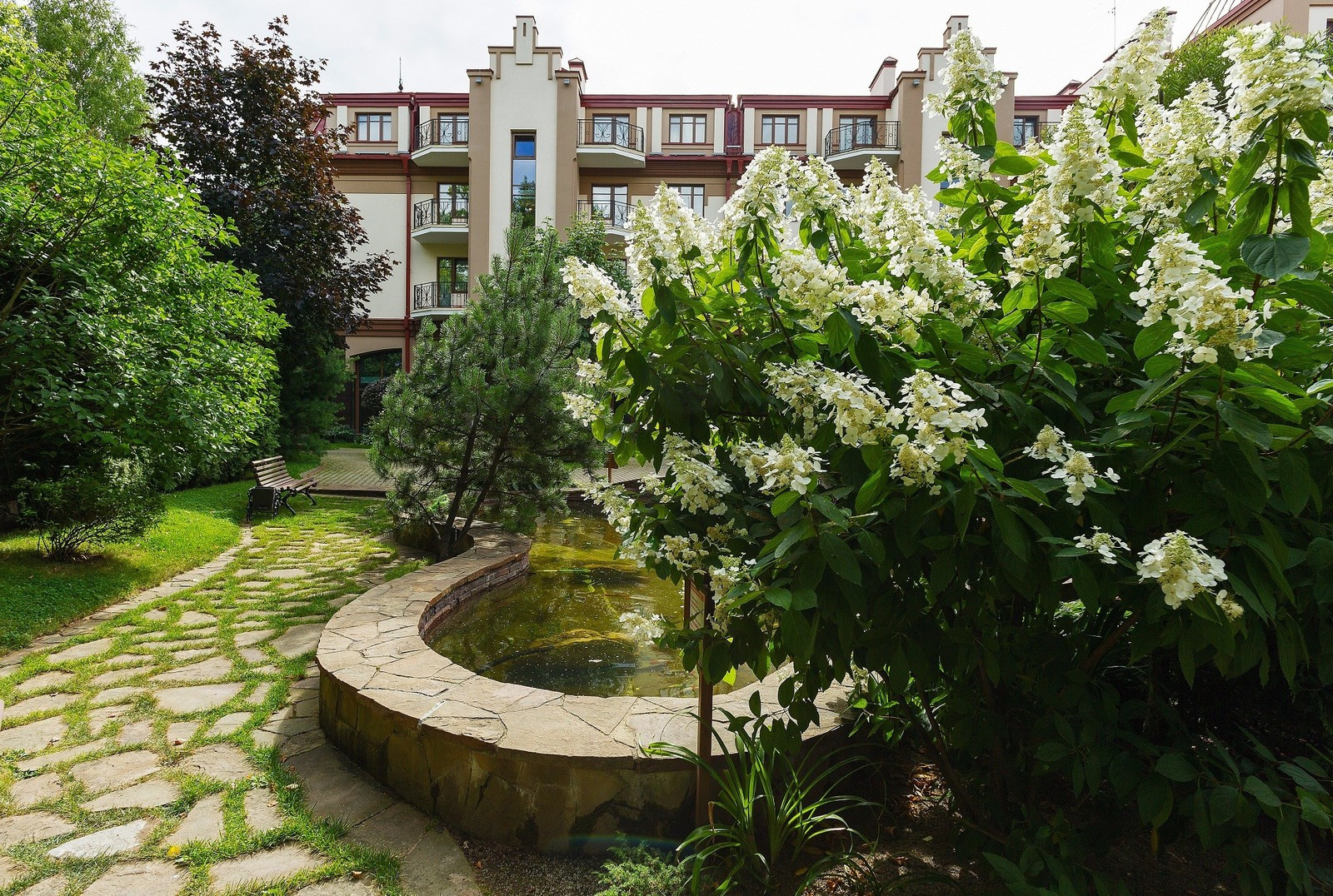 Вопрос: Как правильно выращивать гортензию