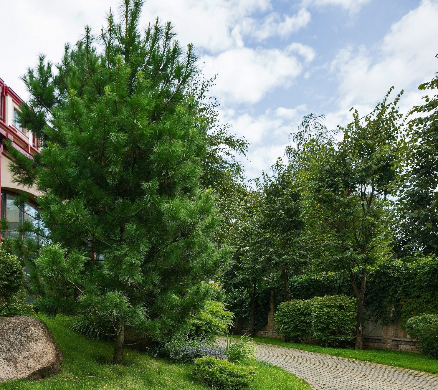 Озеленение жилого комплекса