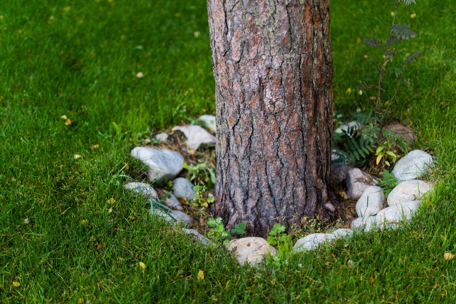 Houzz call: Покажите нам свой сад или дачу