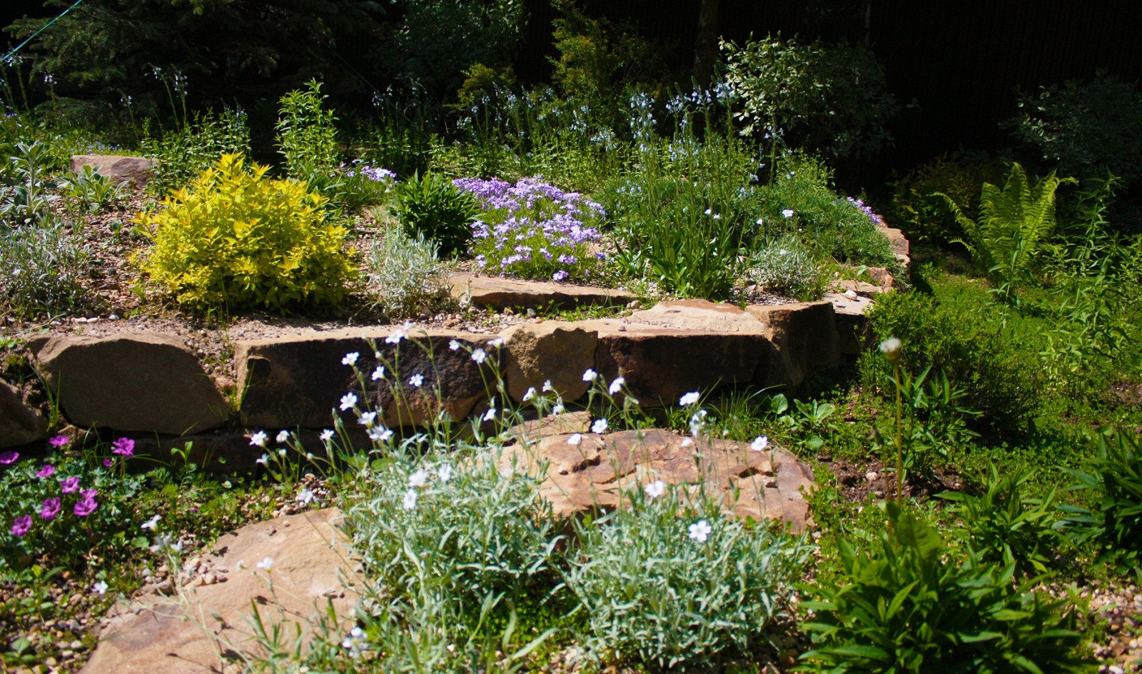 Альпийская горка в дизайне дачного участка