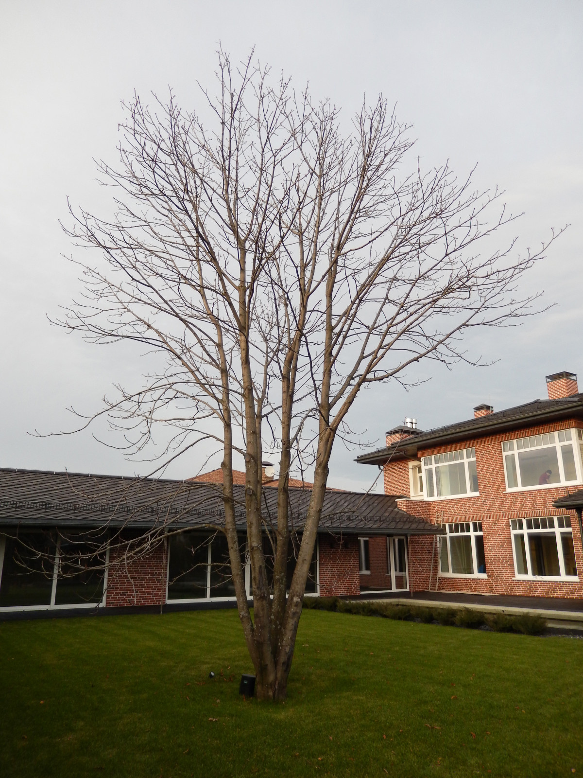 Променад. Киевское шоссе.