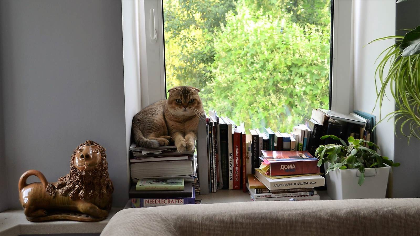 Елена Зимоненко