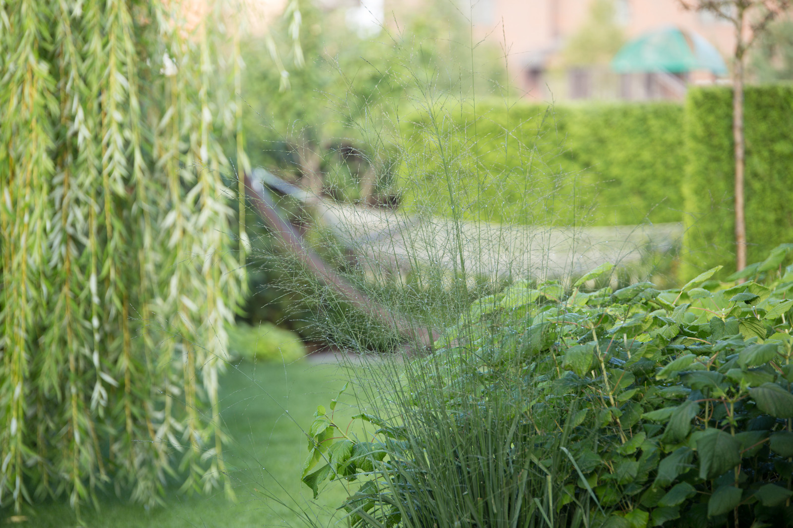 Проект недели: Всесезонный сад на 7 сотках