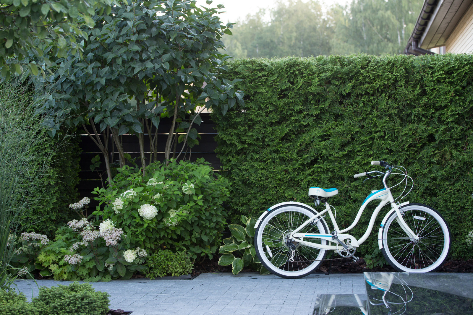 Светлогорье лето 2016