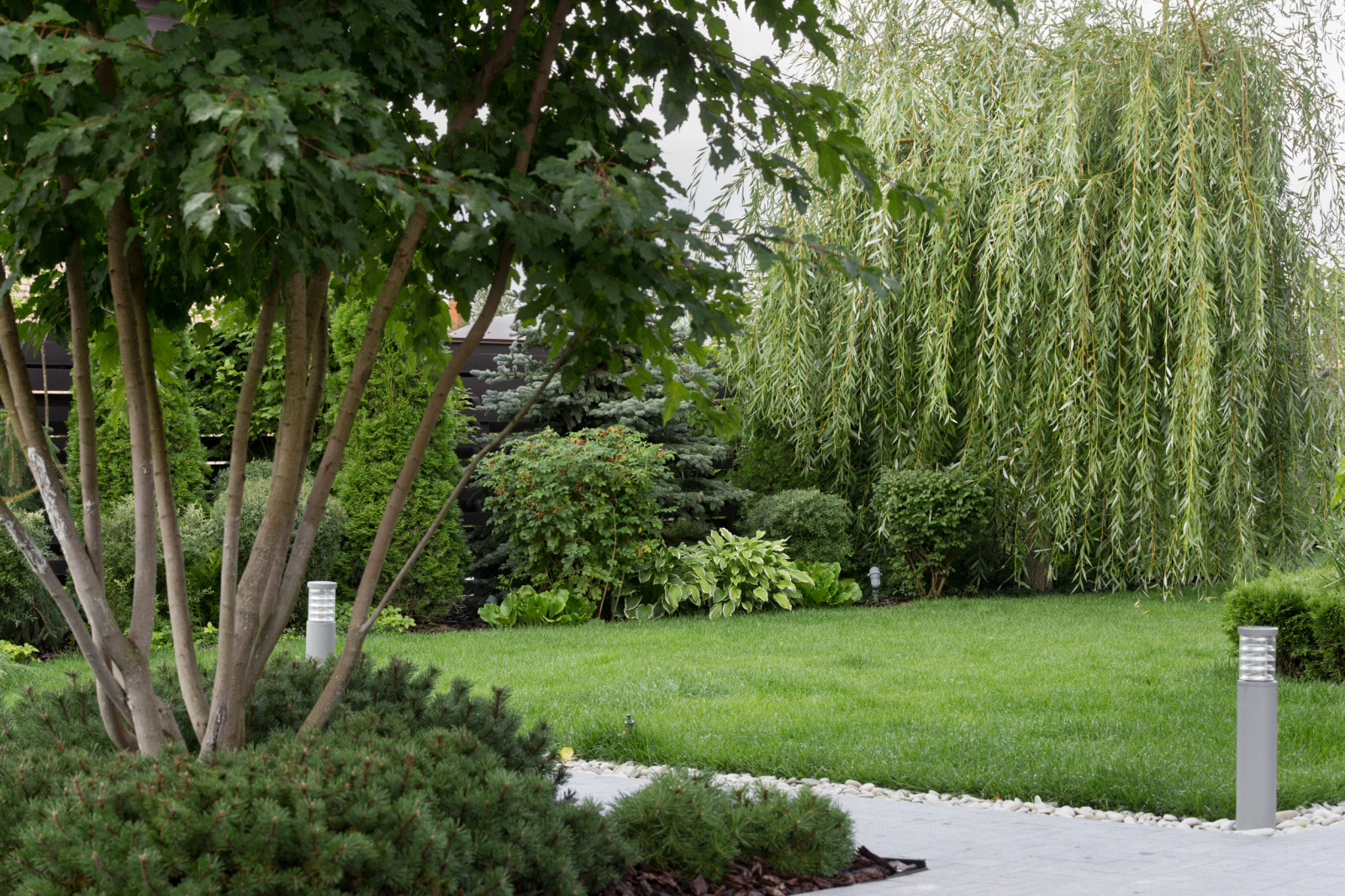 Светлогорье лето 2016