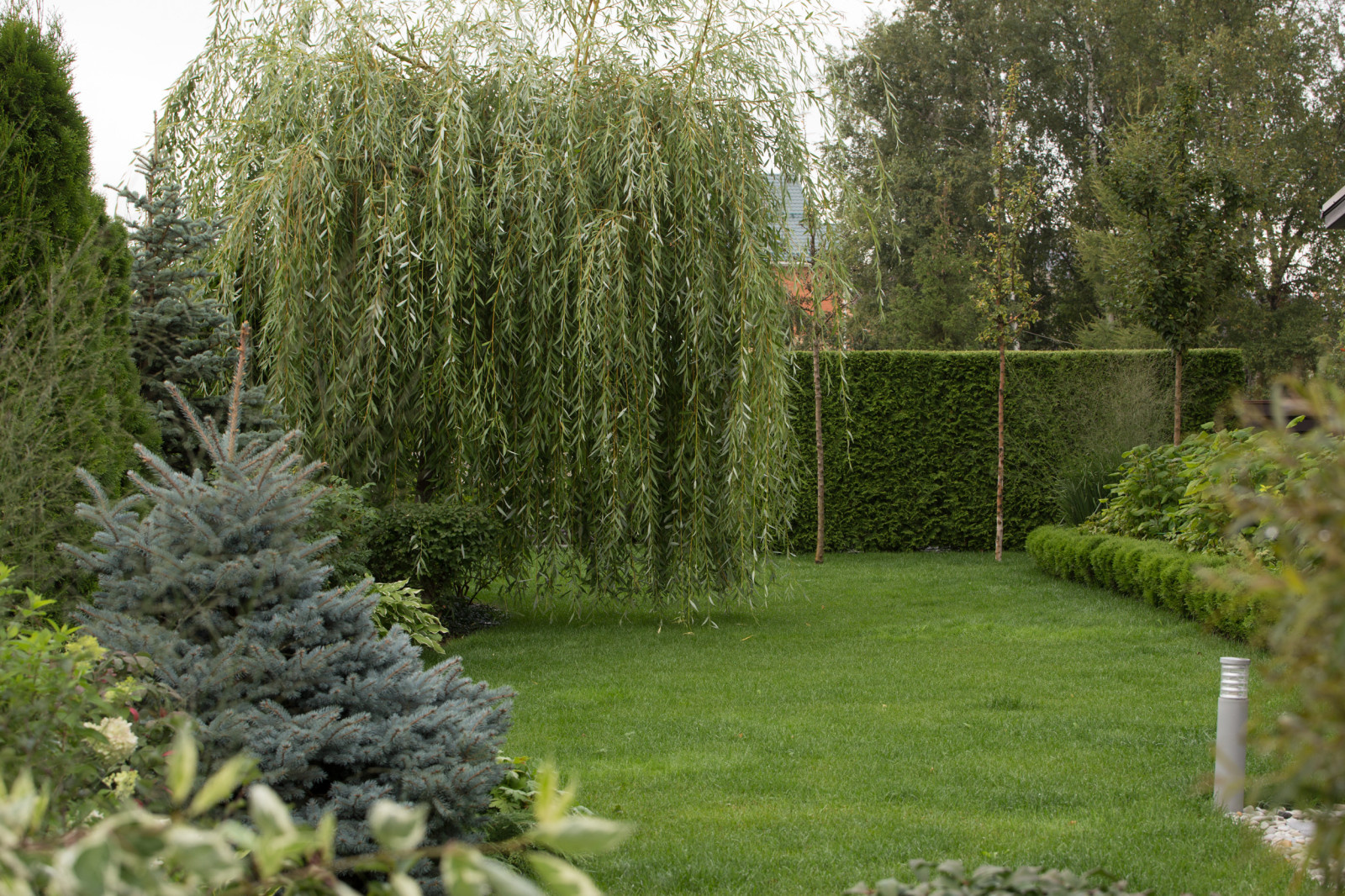 Светлогорье лето 2016