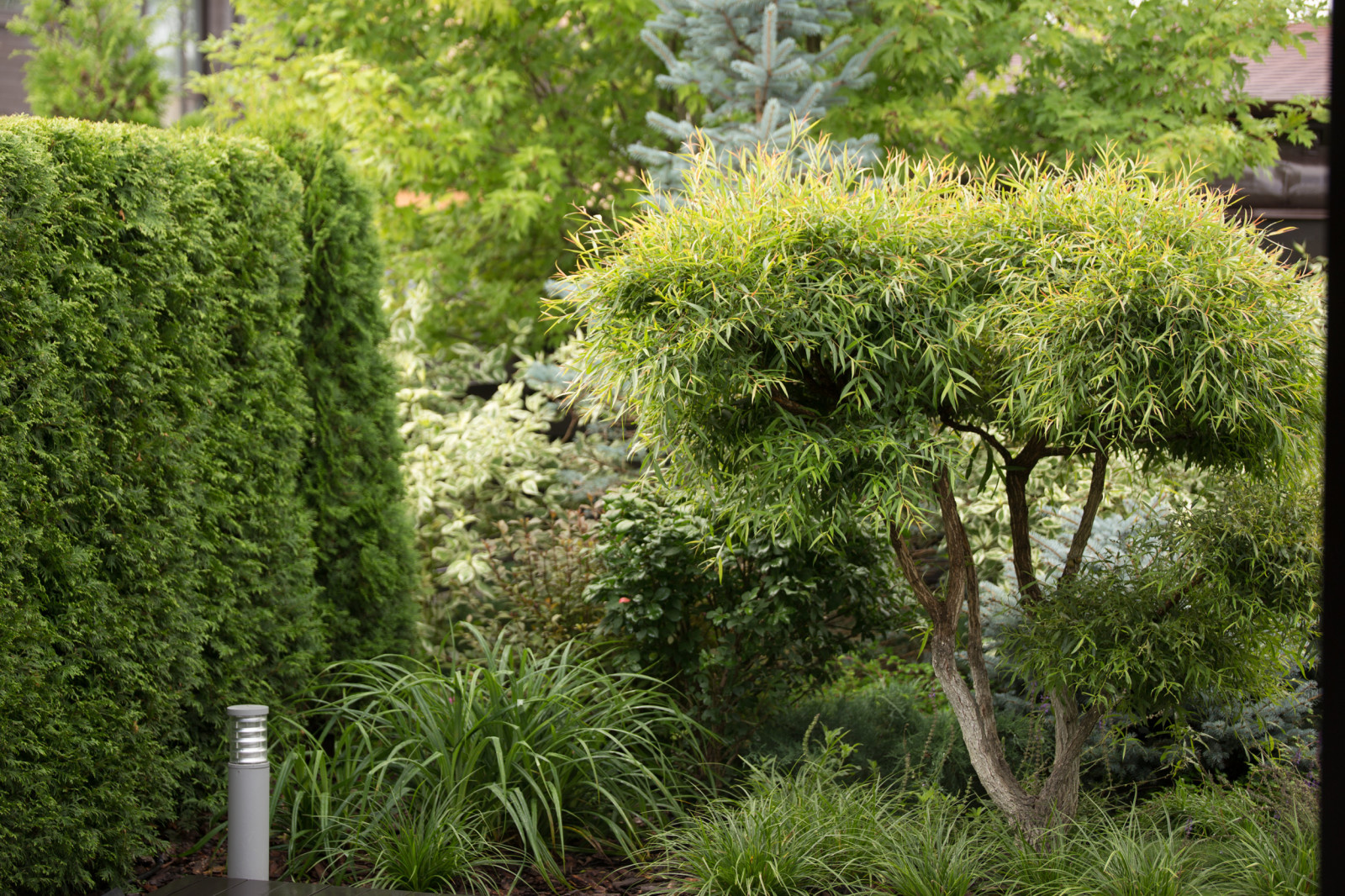 Проект недели: Всесезонный сад на 7 сотках