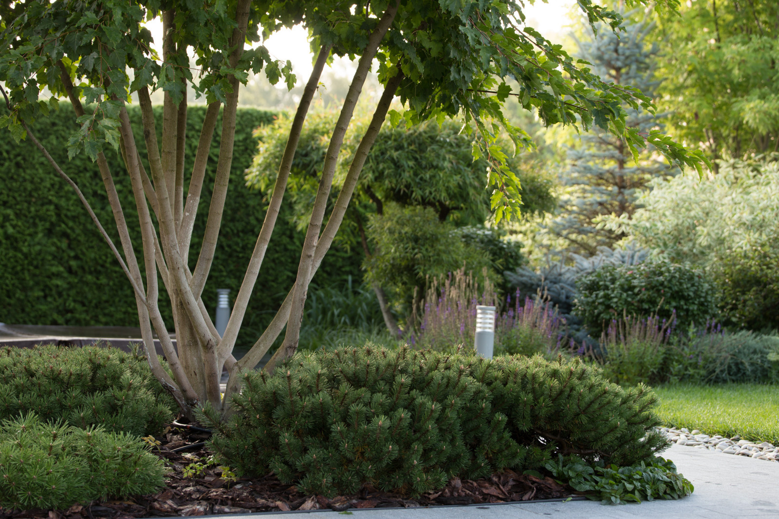 Светлогорье лето 2016