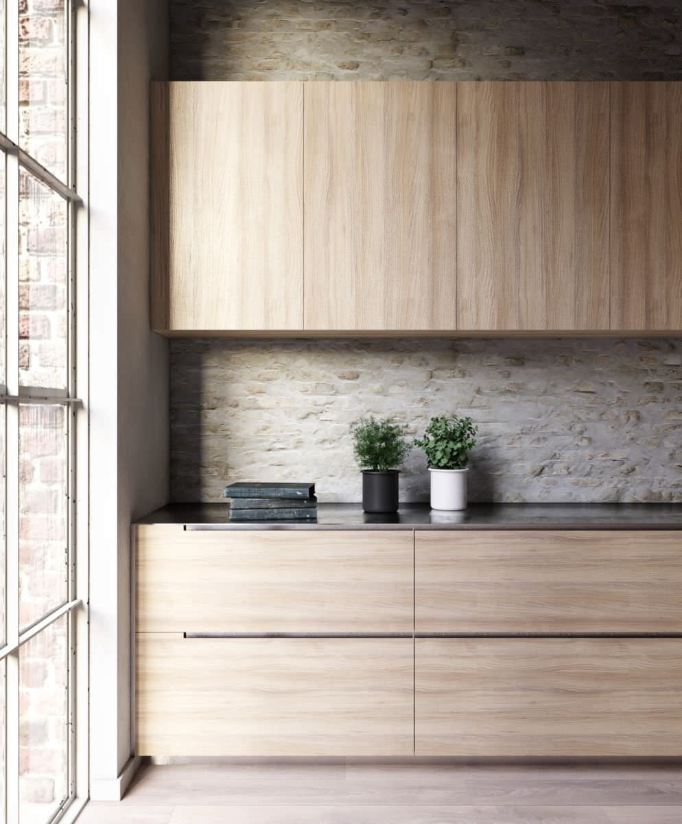 Ascania Elm